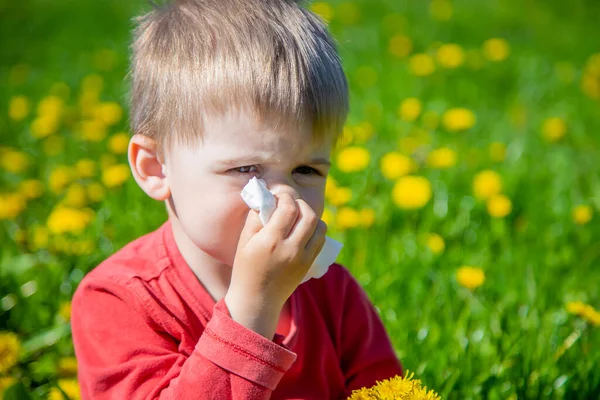 Kind Pflückt Und Schnuppert Blumen Frühlingsallergie — Stockfoto