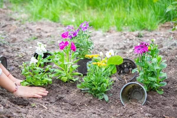 Teenie Mädchen Hilft Mutter Beim Pflanzen Von Blumen Mutter Und — Stockfoto