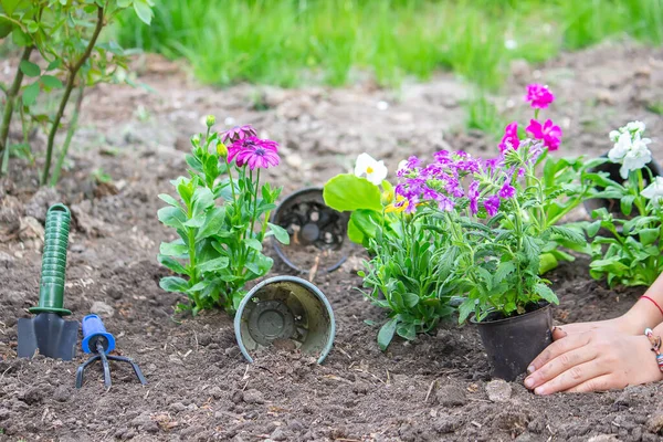 Teen girl helps mother to plant flowers. Mom and her daughter were gardening over the weekend. The family has fun together. — Stock Photo, Image