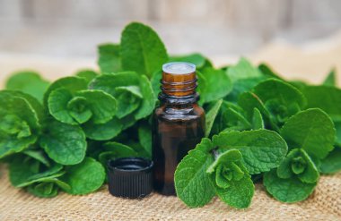 Küçük bir şişede nane yağı. Seçici odaklanma. Doğa.