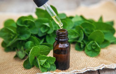 Küçük bir şişede nane yağı. Seçici odaklanma. Doğa.