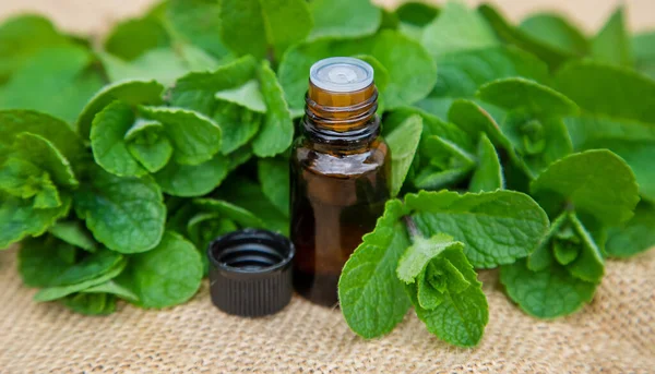 Küçük bir şişede nane yağı. Seçici odaklanma. Doğa.