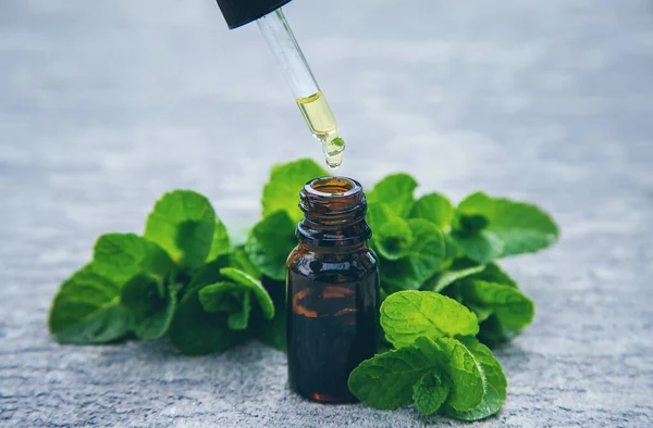 Óleo Essencial Hortelã Pimenta Uma Pequena Garrafa Foco Seletivo Natureza — Fotografia de Stock