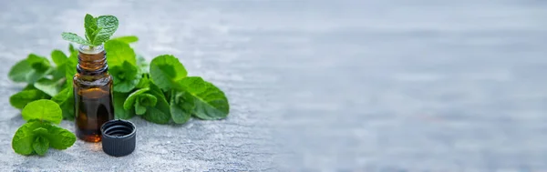 Ätherisches Pfefferminzöl Einer Kleinen Flasche Selektiver Fokus Natur — Stockfoto