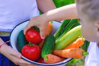 Bahçedeki çocuklar ellerinde sebzelerle. Seçici odaklanma. Doğa.