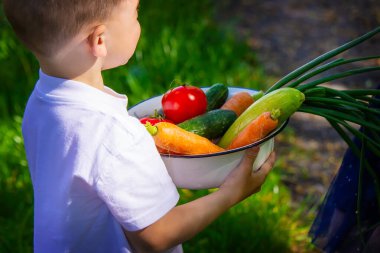 Bahçedeki çocuklar ellerinde sebzelerle. Seçici odaklanma. Doğa.