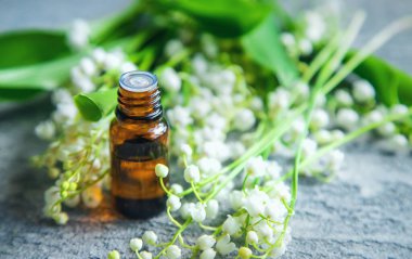 Vadideki zambak, küçük bir şişede gerekli yağ. Seçici odaklanma. Doğa.