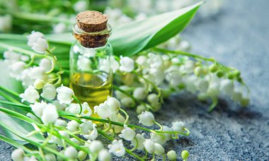 Vadideki zambak, küçük bir şişede gerekli yağ. Seçici odaklanma. Doğa.