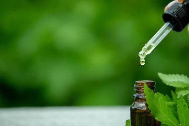 Tedavi için kenevir ve yapraklar et suyu, tentür, özü, yağ. Seçici odak.