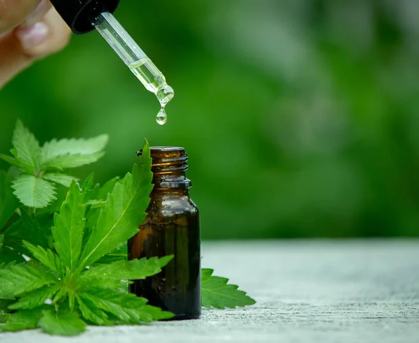 Cannabis Herb Leaves Treatment Broth Tincture Extract Oil Selective Focus — Stock Photo, Image