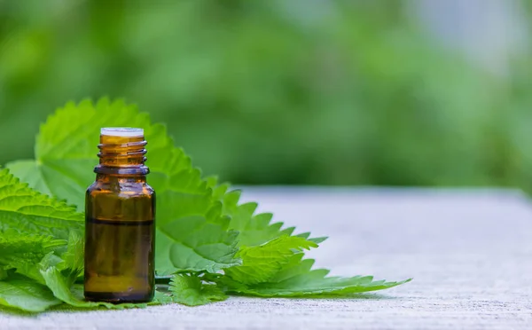 Brandneteltinctuur Een Fles Verse Bladeren Geïsoleerd Met Schaduwen Een Lichte — Stockfoto