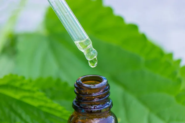 Brennnesseltinktur Der Flasche Und Isolierte Frische Blätter Mit Schatten Auf — Stockfoto