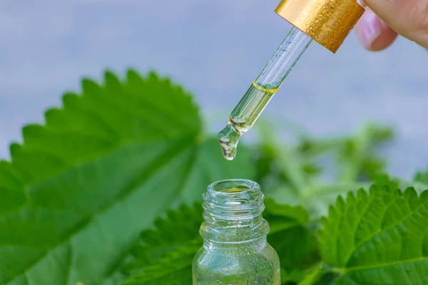 Tincture Nettle Bottle Fresh Leaves Isolated Shadows Light Background Medicinal — Stock Photo, Image