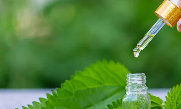 Brandneteltinctuur Een Fles Verse Bladeren Geïsoleerd Met Schaduwen Een Lichte — Stockfoto