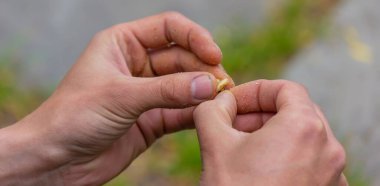 Nehirde balık tutmak balık tutmak için bir yem koyar, seçici bir odak. Doğa