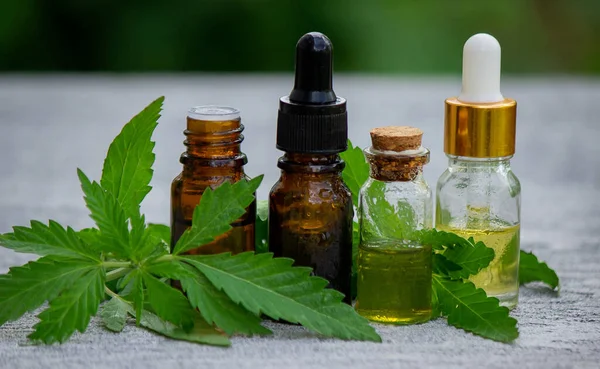 Cannabis Ört Och Blad För Behandling Buljong Tinktur Extrakt Olja — Stockfoto