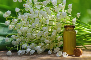 Vadideki zambak, küçük bir şişede gerekli yağ. Seçici odaklanma. Doğa.