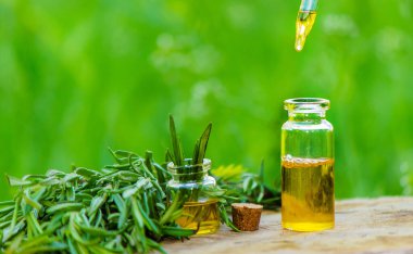 Ahşap arka planda biberiye yağı şişesi. Gerekli yağ, doğal ilaçlar. Doğa.