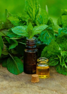 Nane şekerli, naneli, siyah cam kavanozda bitkisel kokulu gerekli yağ şişesi. Ağaç kütüğünde. Aromaterapi konsepti. Seçici odak