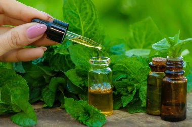 Kehribar şişesi içinde nane şekeri ve taze nane ile koyu cam bir kavanozda bitkisel koku var. Aromaterapi konsepti. Seçici odak