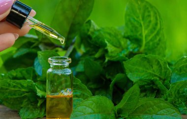 Kehribar şişesi içinde nane şekeri ve taze nane ile koyu cam bir kavanozda bitkisel koku var. Aromaterapi konsepti. Seçici odak