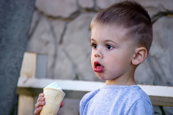 Child Eats Ice Cream Nature Ice Cream Cup Nature Selective — Foto Stock