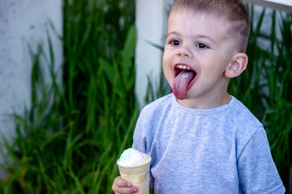 child eats ice cream in nature, ice cream in a cup. Nature. Selective focus