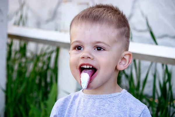 Child Eats Ice Cream Nature Ice Cream Cup Nature Selective — Stok fotoğraf