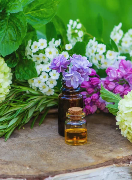 Aceites Esenciales Flores Medicinales Hierbas Naturaleza Enfoque Selectivo — Foto de Stock