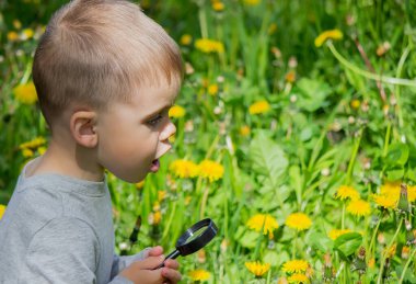 Çocuk çiçeği bir büyüteç içinde inceler. Doğa. Seçici odak