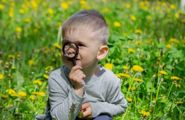 Çocuk çiçeği bir büyüteç içinde inceler. Doğa. Seçici odak