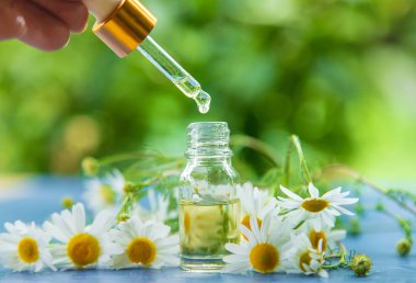 Essential oil extract of medicinal chamomile. Selective focus. Nature.