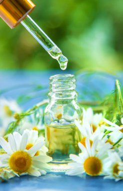 Essential oil extract of medicinal chamomile. Selective focus. Nature.