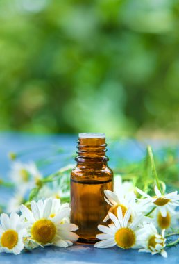 Essential oil extract of medicinal chamomile. Selective focus. Nature.