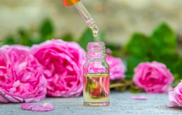 Extracto Aceite Esencial Rosa Enfoque Selectivo Naturaleza —  Fotos de Stock