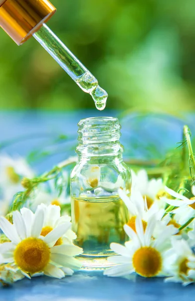 Essential oil extract of medicinal chamomile. Selective focus. Nature.