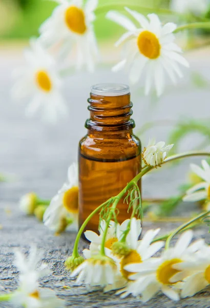 Essential oil extract of medicinal chamomile. Selective focus. Nature.