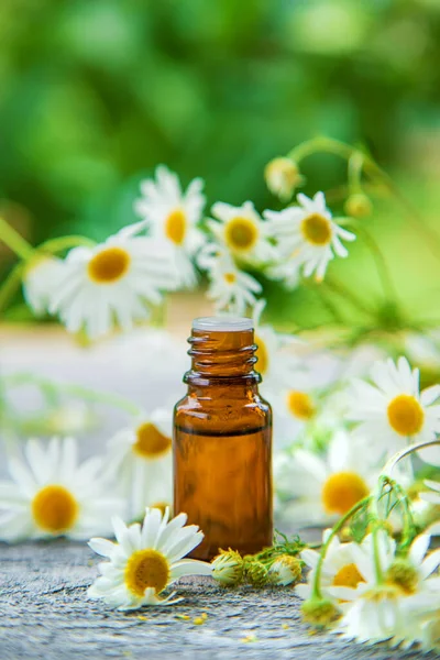 Essential Oil Extract Medicinal Chamomile Selective Focus Nature — Stock Photo, Image