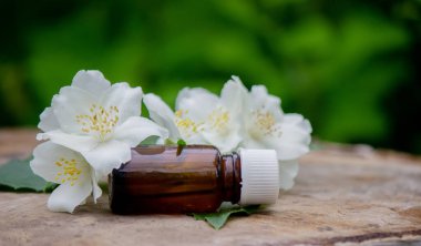 Essential oil and jasmine flowers on a wooden background. Cosmetic procedures. Selective focus