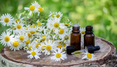 Ahşap arka planda papatya yağı. Seçici odak