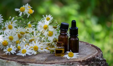 Ahşap arka planda papatya yağı. Seçici odak