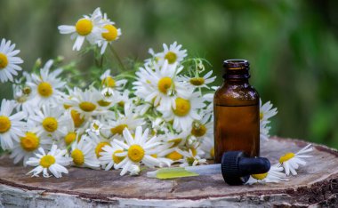 Ahşap arka planda papatya yağı. Seçici odak