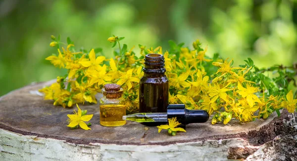 John Wort Flower Oil Glass Bottle Wooden Background Selective Focus — Stock Photo, Image