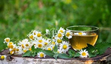 Ahşap arka planda sağlıklı papatya çayı. Doğa. Seçici odak