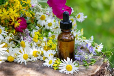 St. John otuyla papatya çiçeğini cam bir şişeye koyup yatay hale getir. Doğa. Seçici odak.