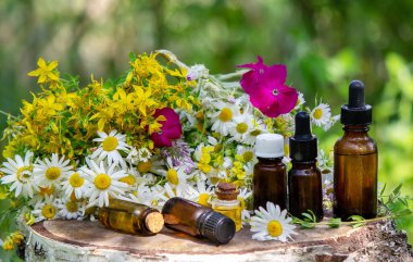 St. John otuyla papatya çiçeğini cam bir şişeye koyup yatay hale getir. Doğa. Seçici odak.