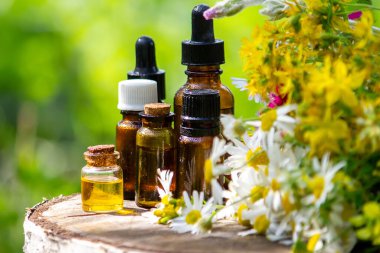 St. John otuyla papatya çiçeğini cam bir şişeye koyup yatay hale getir. Doğa. Seçici odak.