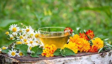 Ahşap arka planda papatya çayı. Doğa. Seçici odak