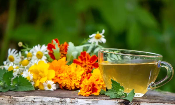 Chamomile Tea Wooden Background Nature Selective Focus — Stock Photo, Image