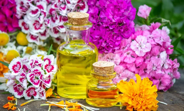 Aceites Esenciales Hierbas Medicinales Flores Enfoque Selectivo — Foto de Stock